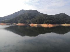 -广州市流溪河国家森林公园