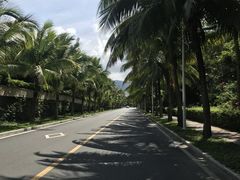 -三亚亚龙湾雅高铂尔曼别墅度假酒店