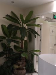 -健身堂科技美肌SPA
