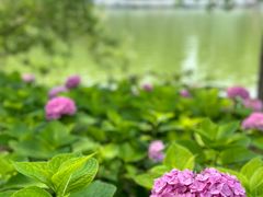 -陶然亭公园
