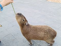 -郑州银基黄帝宫御温泉