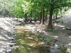 -白水寺森林公园
