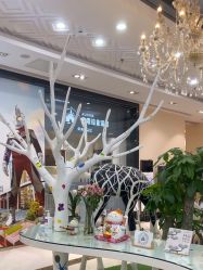 -同远QQBABY亲子摄影(北京路店)