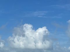 -小麦岛公园