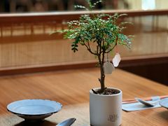 -CURRY YA 熟成咖哩專門店(深圳湾万象城店)
