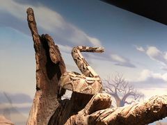 -陕西自然博物馆