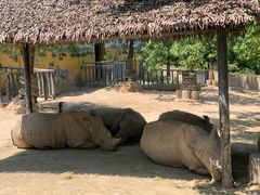 -西安秦岭野生动物园
