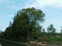 -上海长兴岛郊野公园