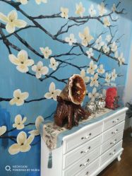 -scarlet斯卡莱美容护理机构