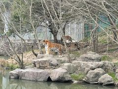 -宁波野生动物园