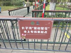 -西湖游船