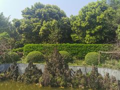 -重庆平顶山公园