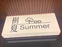 -树夏Tree Summer