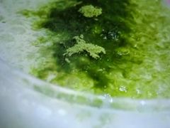 -瑞思英语·少儿英语启蒙(河西·梅江第六田园校区)