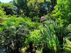 -谷咖啡·鲜花绿植花园餐厅