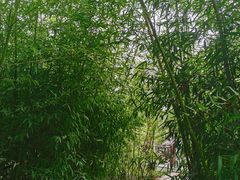 -同里国家湿地公园