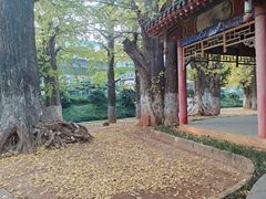 -华雅花园大酒店