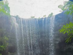 -新加坡飞禽公园