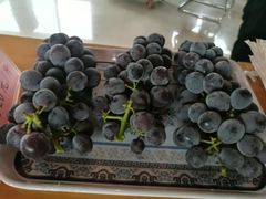 -白鹿原葡萄主题公园