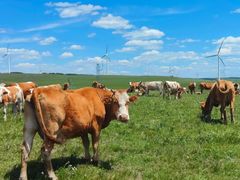 -塞罕坝国家级自然保护区