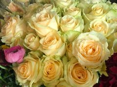 -BOBLOOM花店(宝龙旭辉广场店)