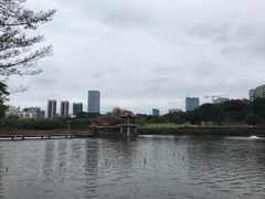 -深圳龙潭公园