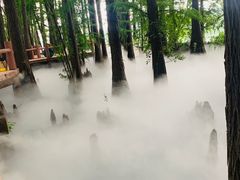 -东湖落雁景区