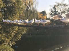 -李氏憨粑粑(文林街店)