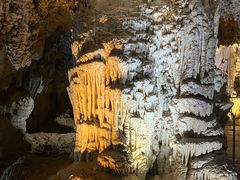 -怀托摩萤火虫洞