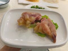 -丁老爷子苏香圆
