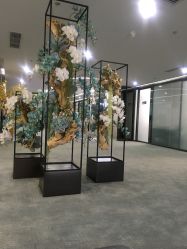 大厅-北京炫美医疗美容
