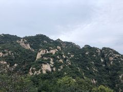 -大岭沟猕猴桃谷风景区