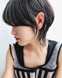 -IDOL-PLUS