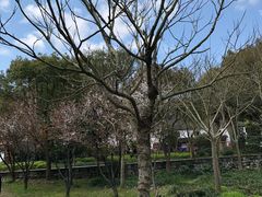 -普陀山风景名胜区-法雨禅寺