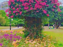 -荔香公园