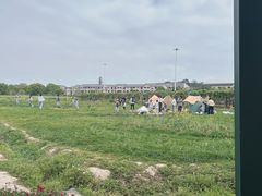 -苏州太湖西山岛开心农场