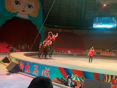 -俄罗斯国家大马戏团