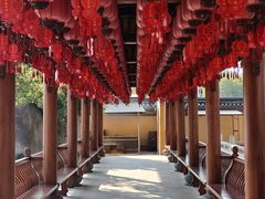 -上海东林寺(金山区)