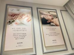 -BELLAREAL新美社
