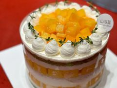 -山与蓝·轻糖鲜果蛋糕(勒泰店)