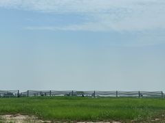 -盐城丹顶鹤湿地生态旅游区