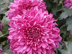 -螃蟹岬(地铁站)