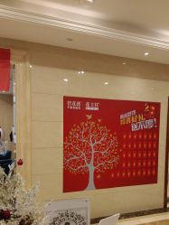 -碧莲盛·不剃发植发