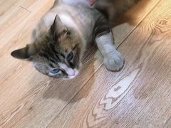 -白兔子密室(长寿路店)