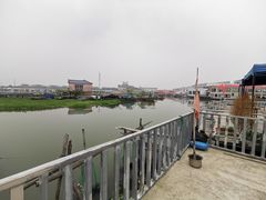 -君豪蟹都·湖景·农家乐(蟹舫苑店)