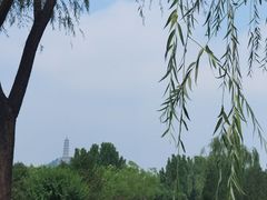 -北坞公园