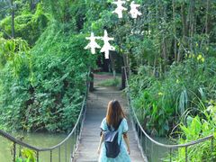 -桤木河湿地公园