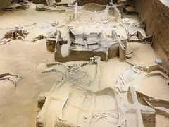 -洛阳周王城天子驾六博物馆