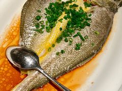 葱油蒸东海黄鱼-福院