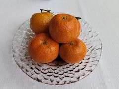 -寻味顺德·顺峰山庄(大良店)